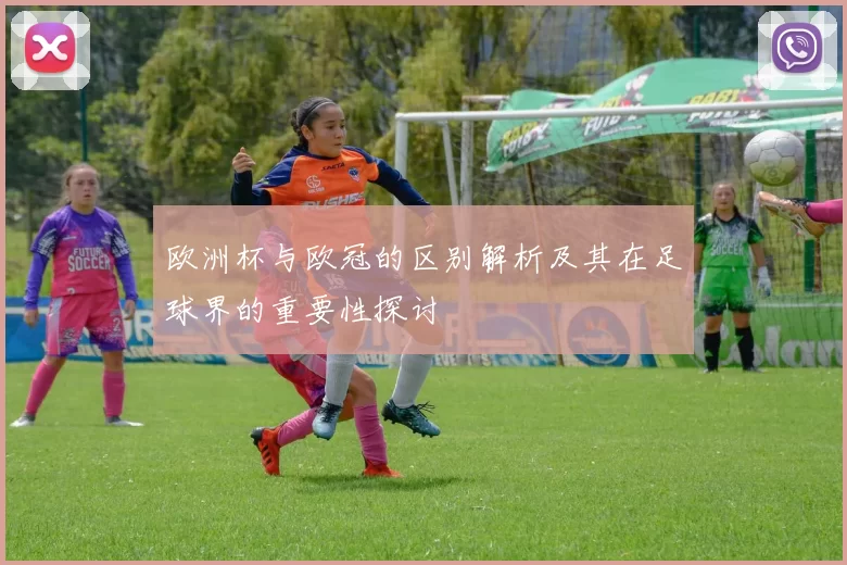 欧洲杯与欧冠的区别解析及其在足球界的重要性探讨